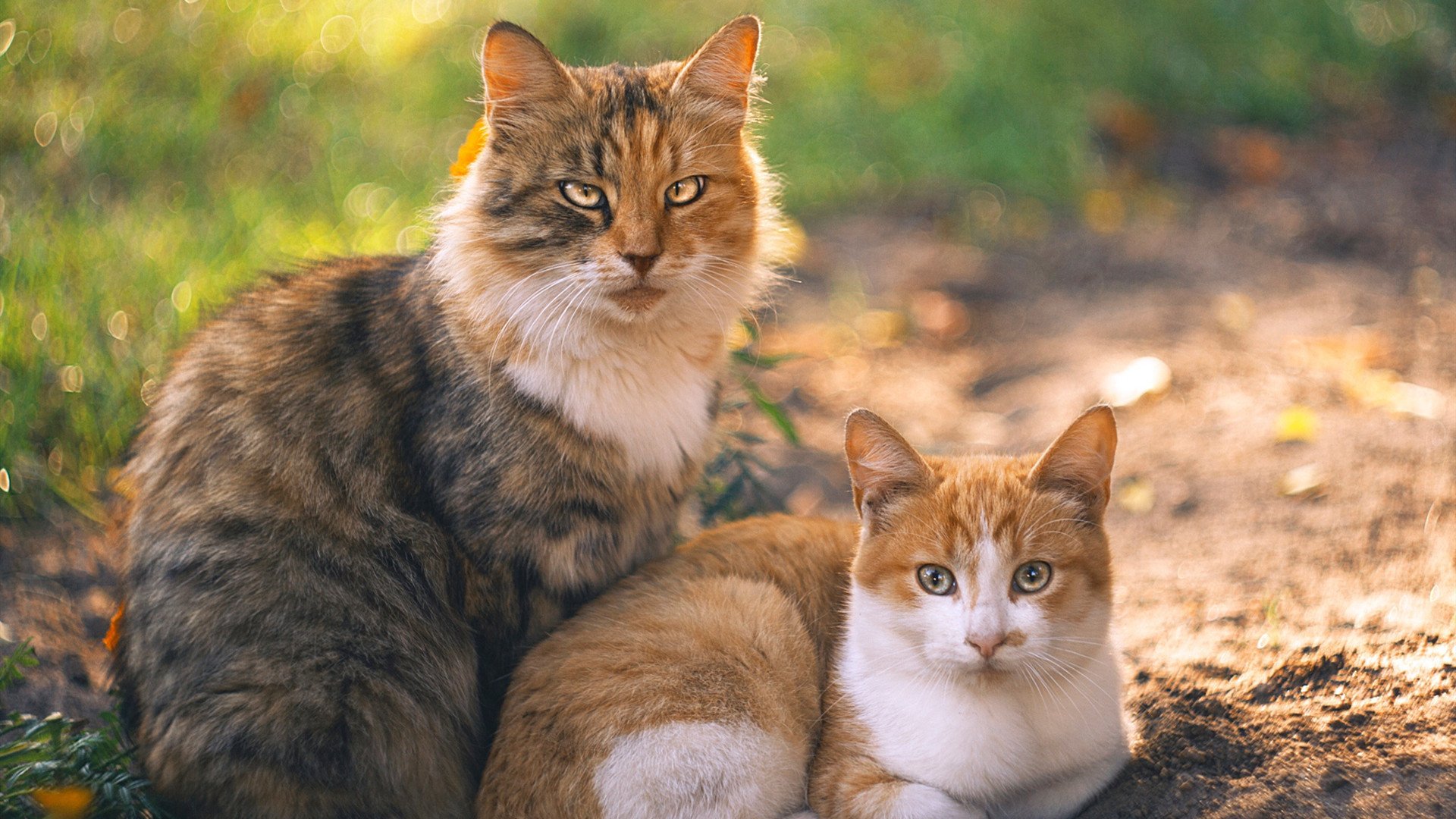 震撼之夜!76人暴打雄鹿展现恐怖统治力,39岁詹姆斯攻防一体梦回巅峰