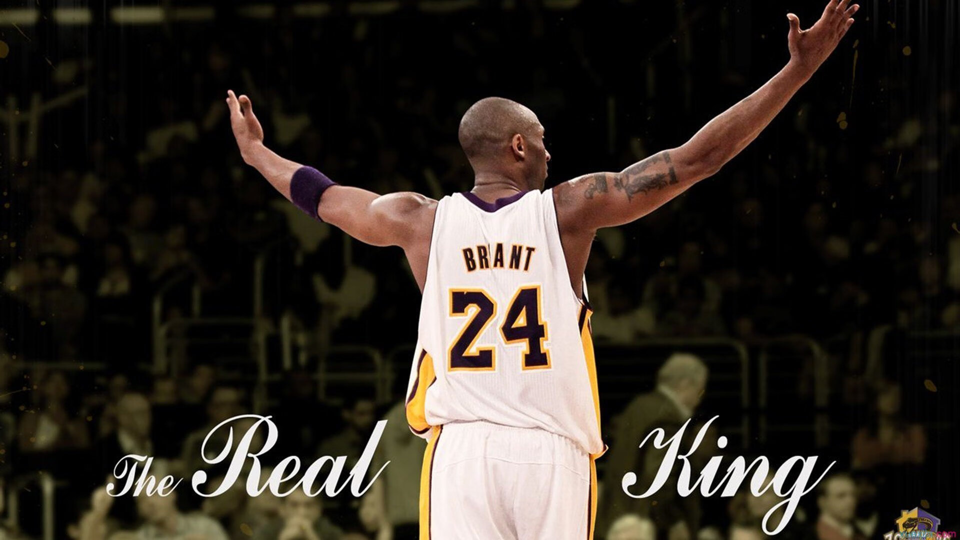 当意甲焦点战撞上鹈鹕轻取国王,一场美丽的张冠李戴,折射出球迷的纯粹热爱